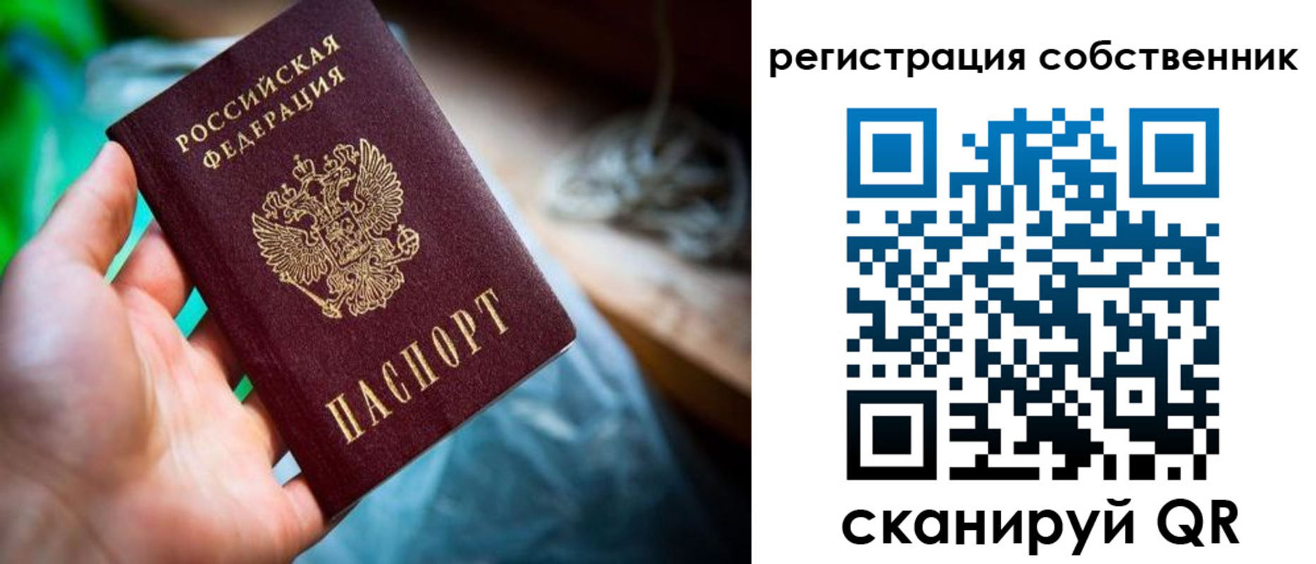прописка гарантия в Новоалександровске